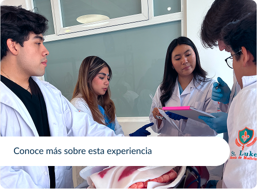 thumbnail-fernanda-casas